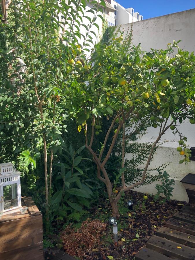 Lejlighed Garden Lisboa